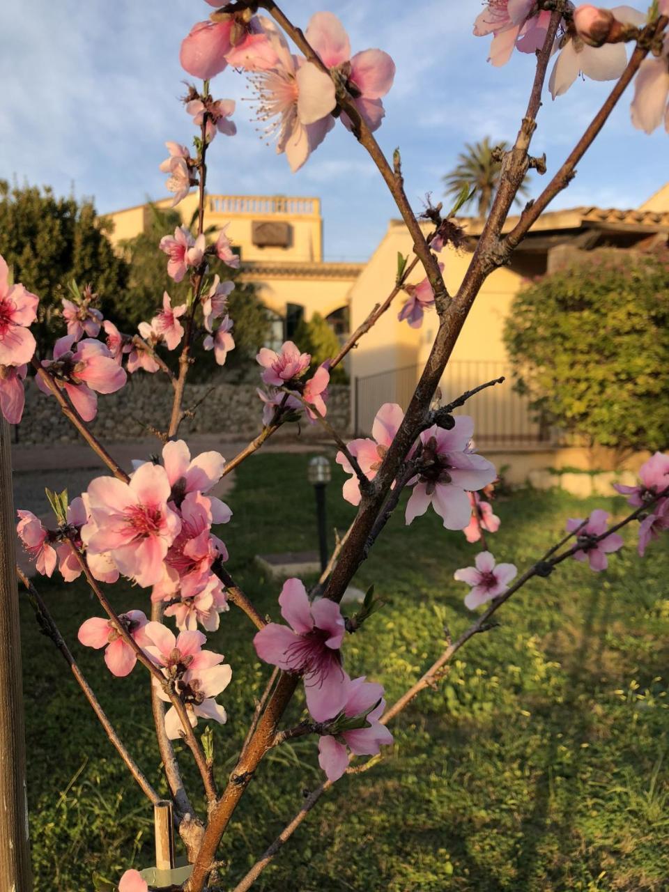 מונטירי Finca Son Manera מראה חיצוני תמונה
